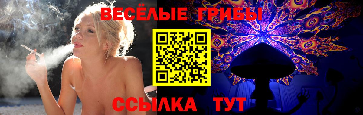 цены наркотик  Псилоцибиновые грибы Cubensis  Нурлат  Вход с VPN  Псилоцибиновые грибы GOLDEN TEACHER 